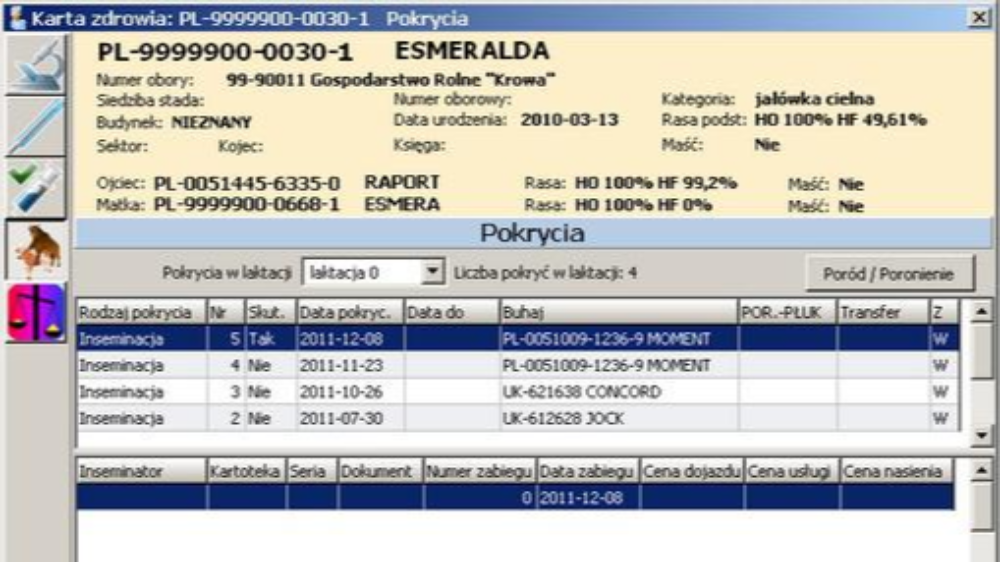 Plik graficzny z edytora