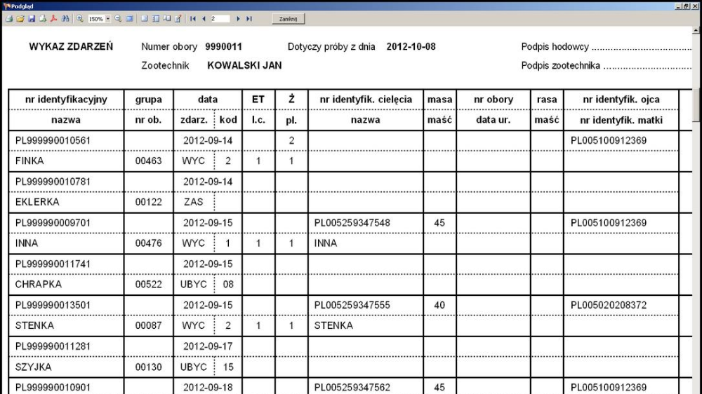 Plik graficzny z edytora